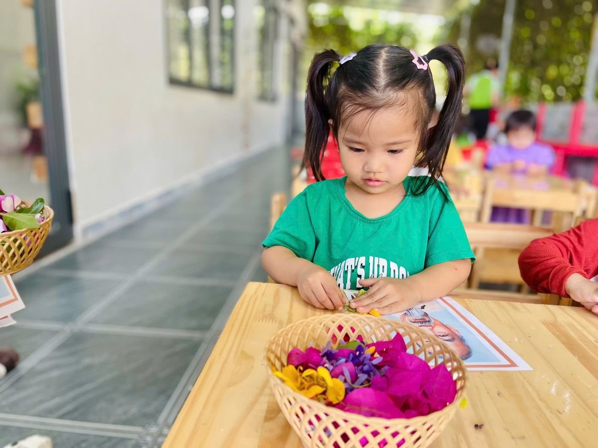 Ảnh hoạt động