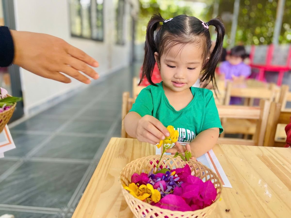 Ảnh hoạt động