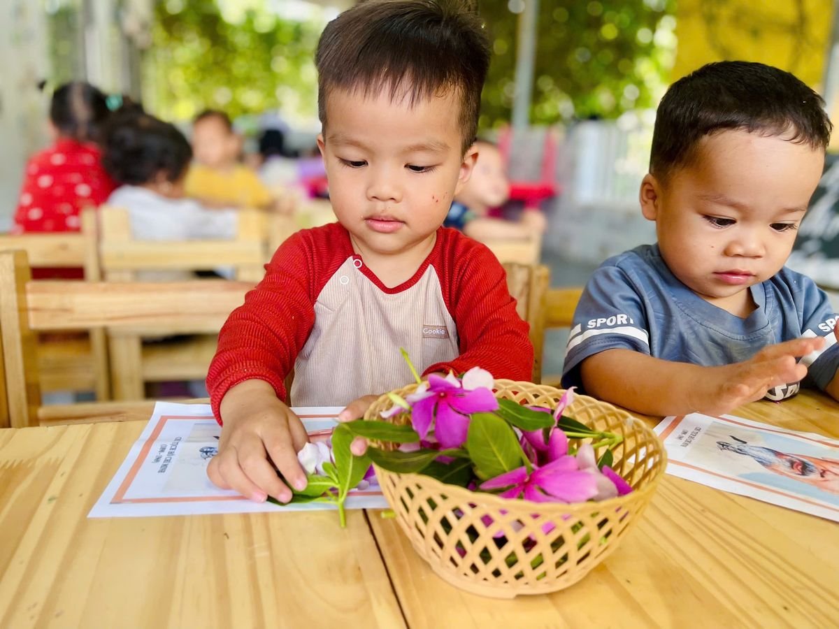 Ảnh hoạt động