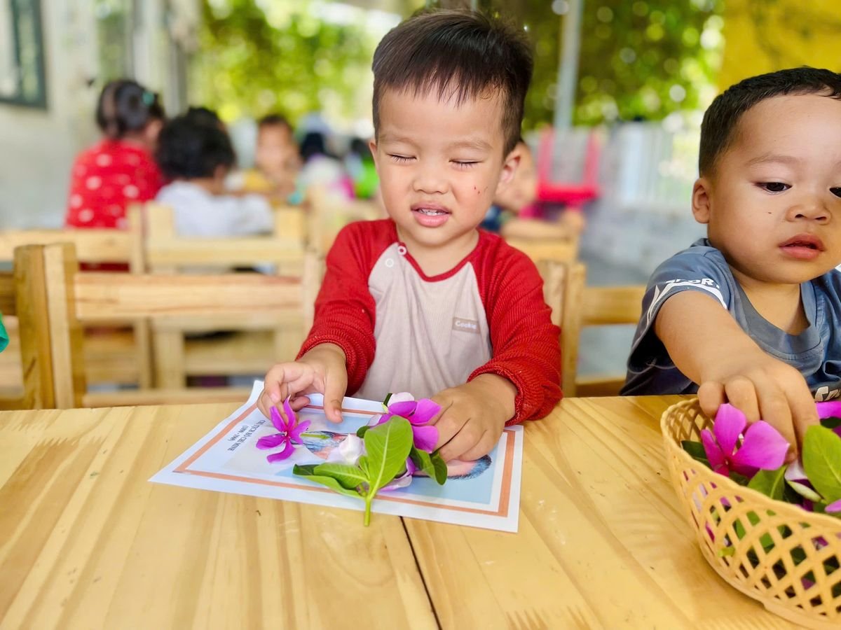 Ảnh hoạt động