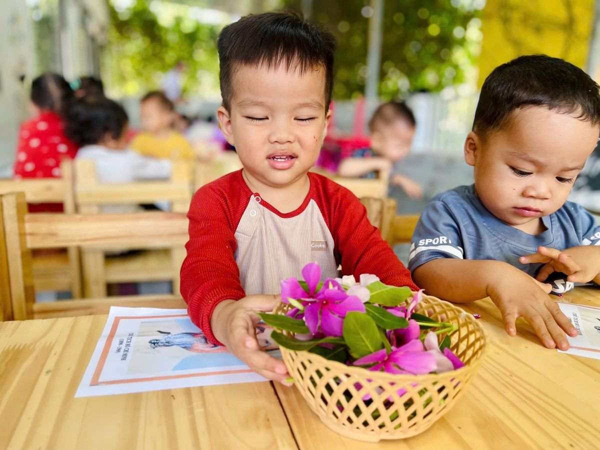 Ảnh hoạt động