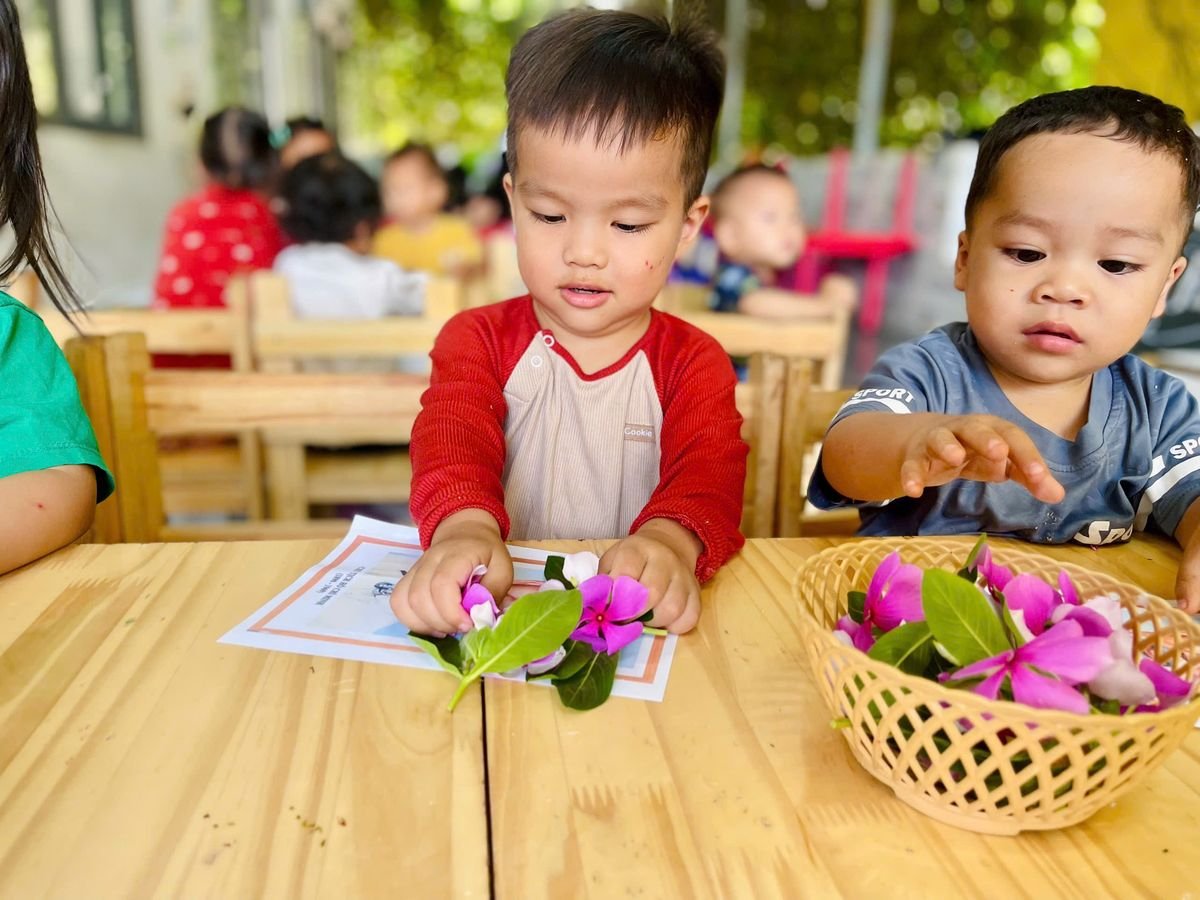 Ảnh hoạt động