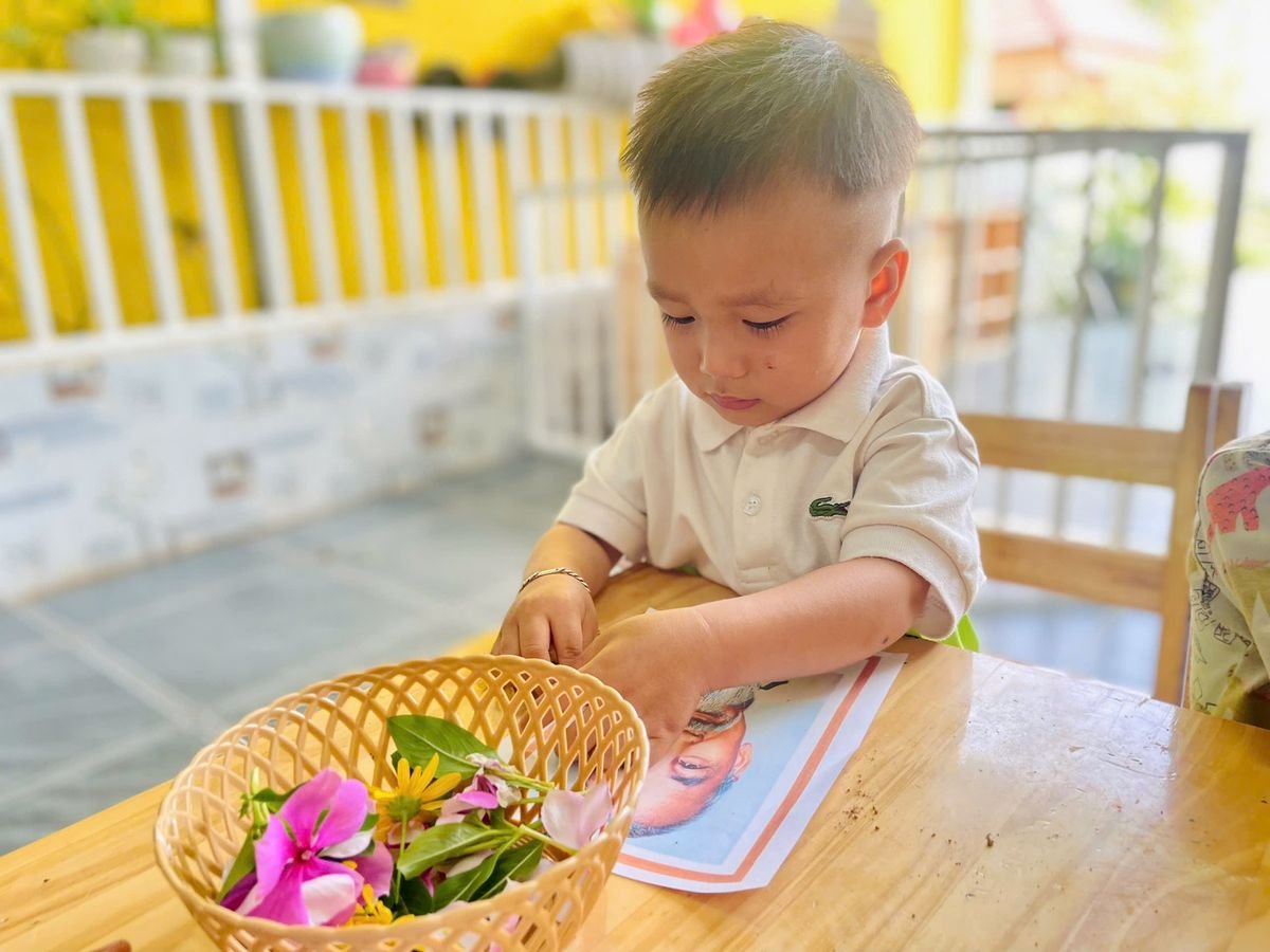 Ảnh hoạt động