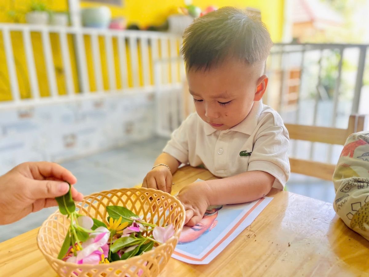 Ảnh hoạt động