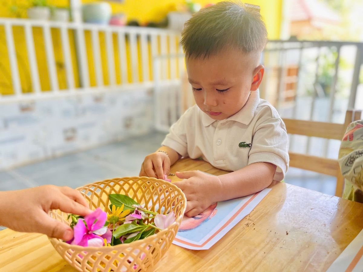 Ảnh hoạt động