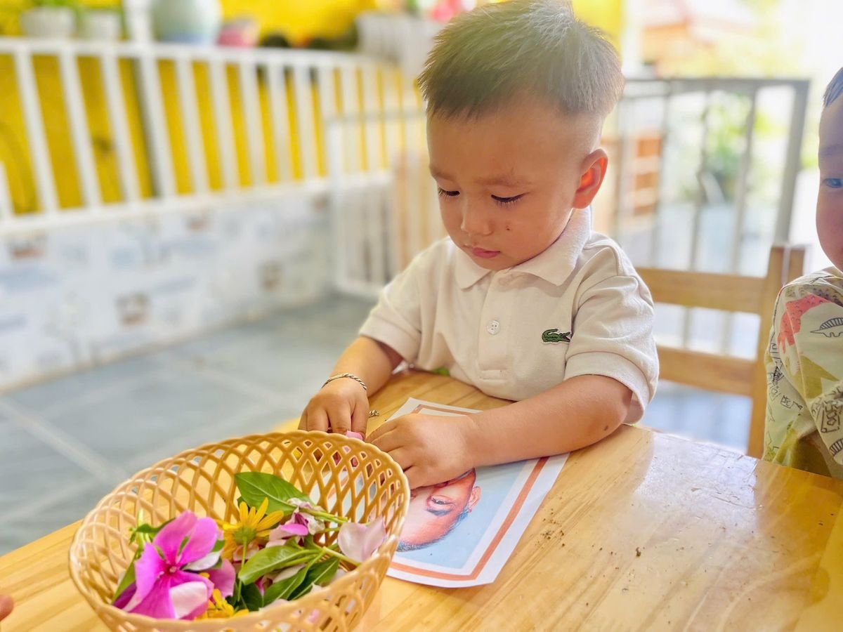 Ảnh hoạt động