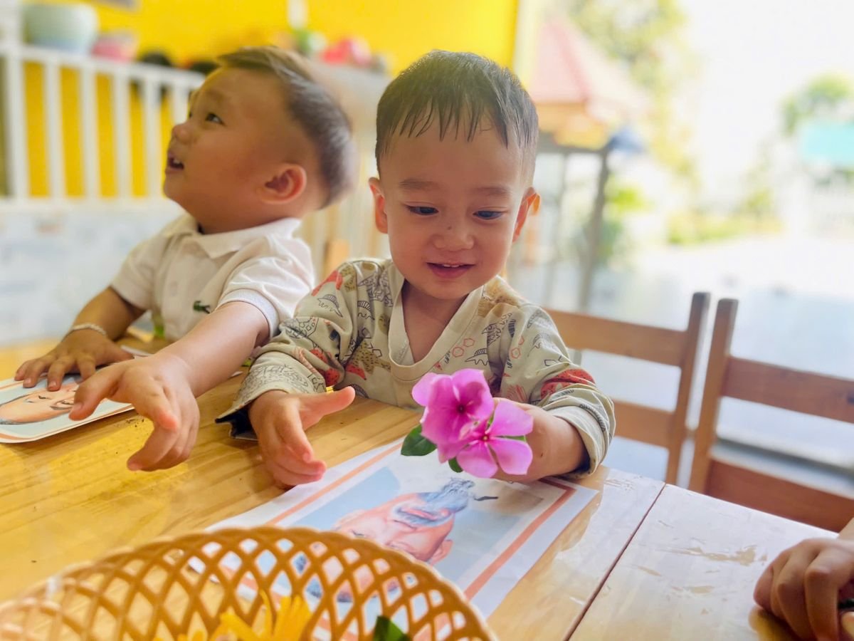 Ảnh hoạt động
