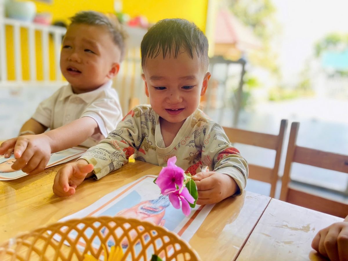 Ảnh hoạt động