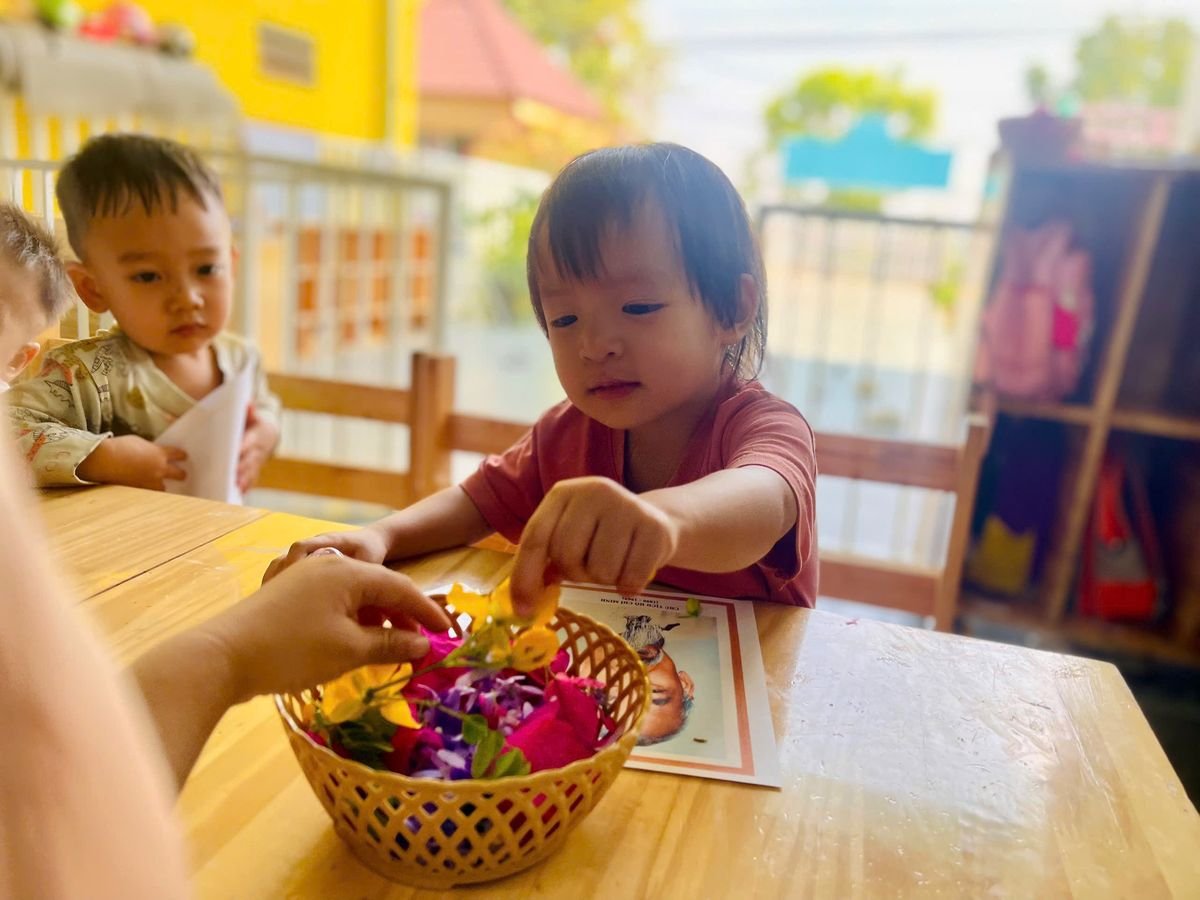 Ảnh hoạt động