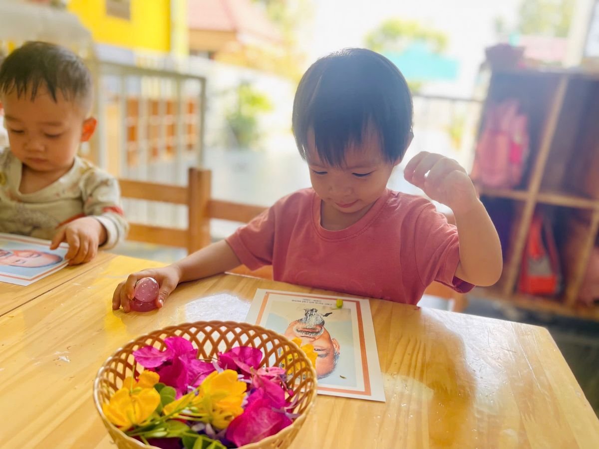 Ảnh hoạt động