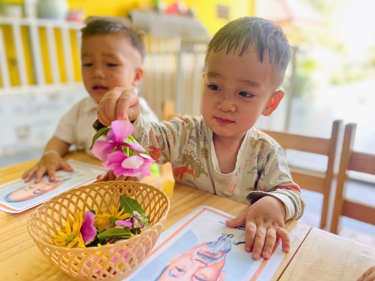 Ảnh hoạt động