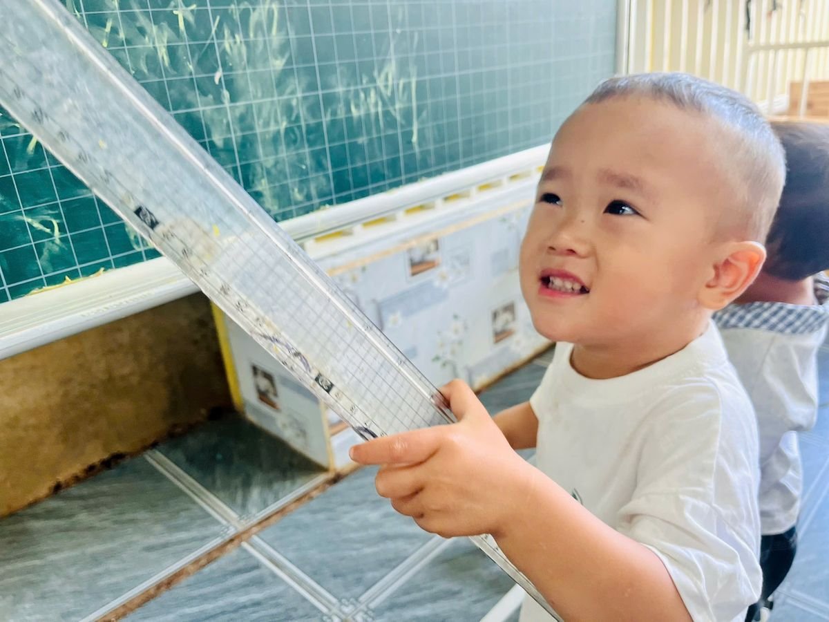 Ảnh hoạt động