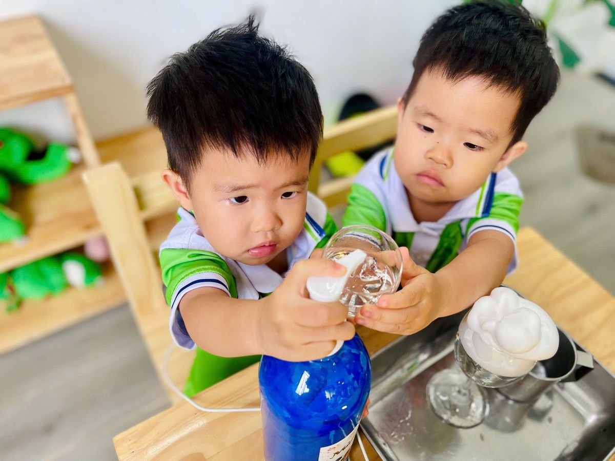 Ảnh hoạt động