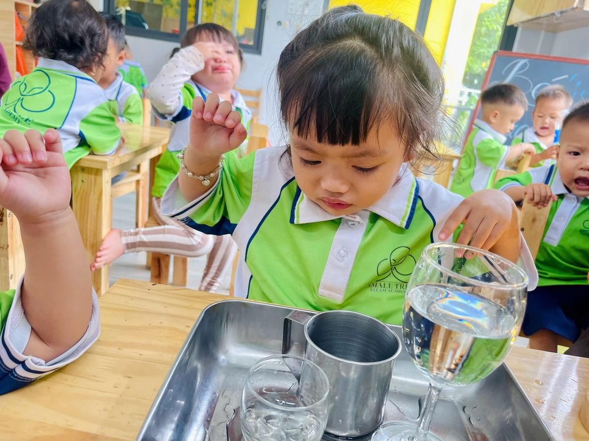 Ảnh hoạt động