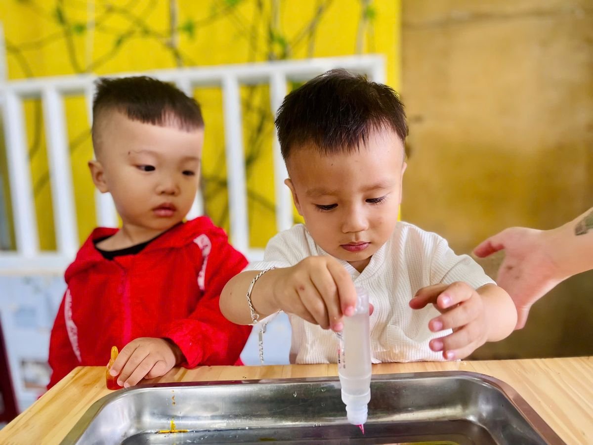Ảnh hoạt động