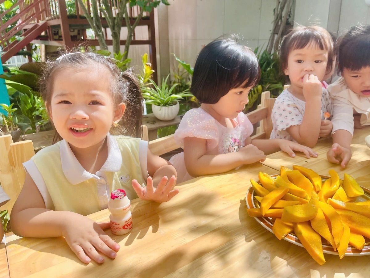 Ảnh hoạt động