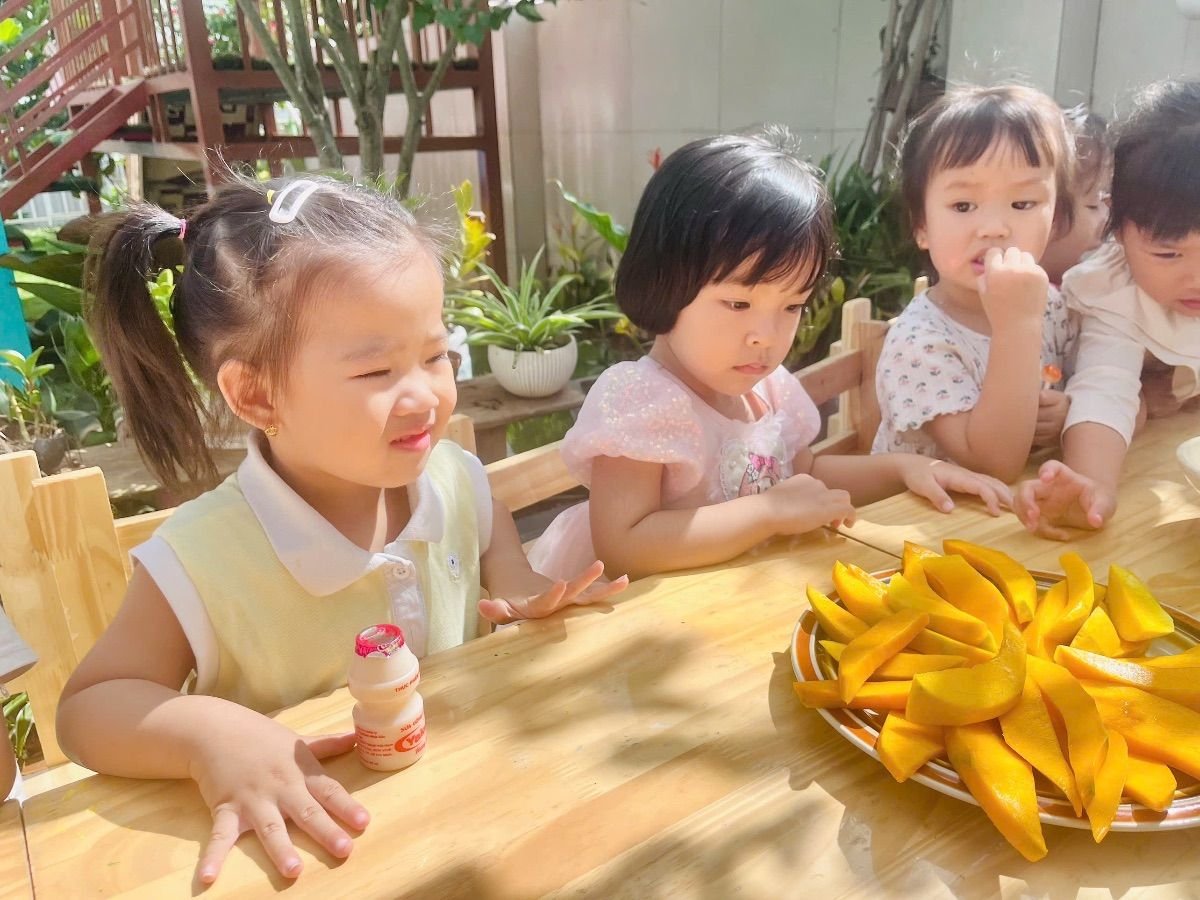 Ảnh hoạt động