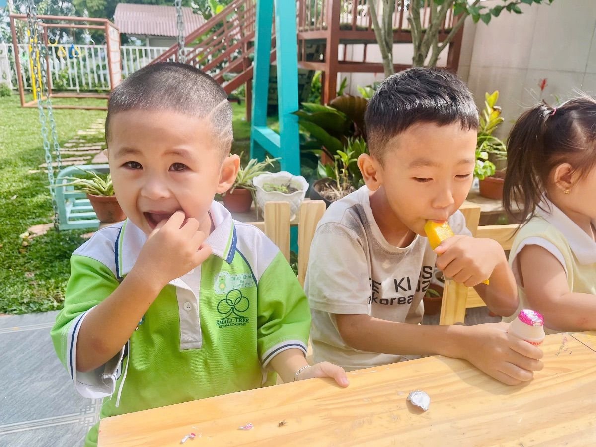 Ảnh hoạt động