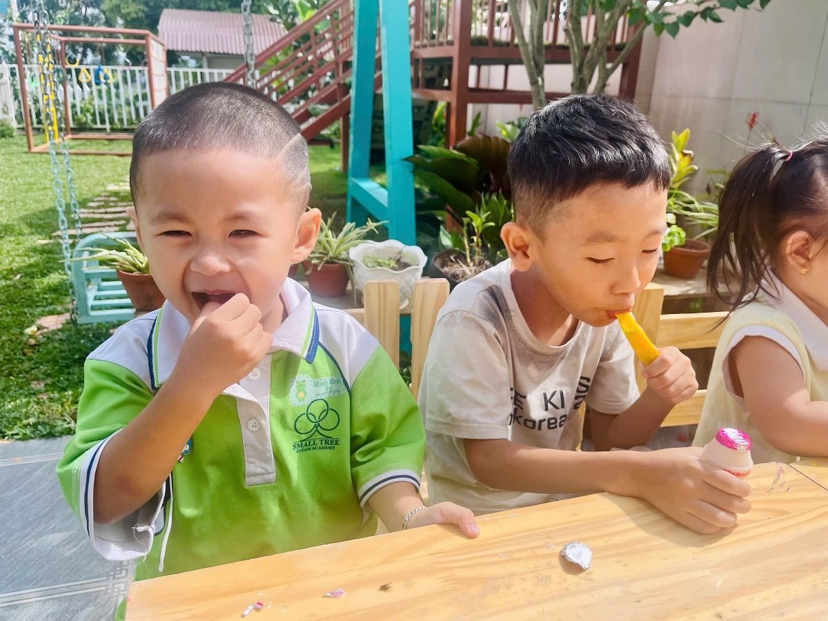 Ảnh hoạt động