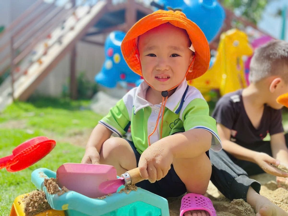 Ảnh hoạt động