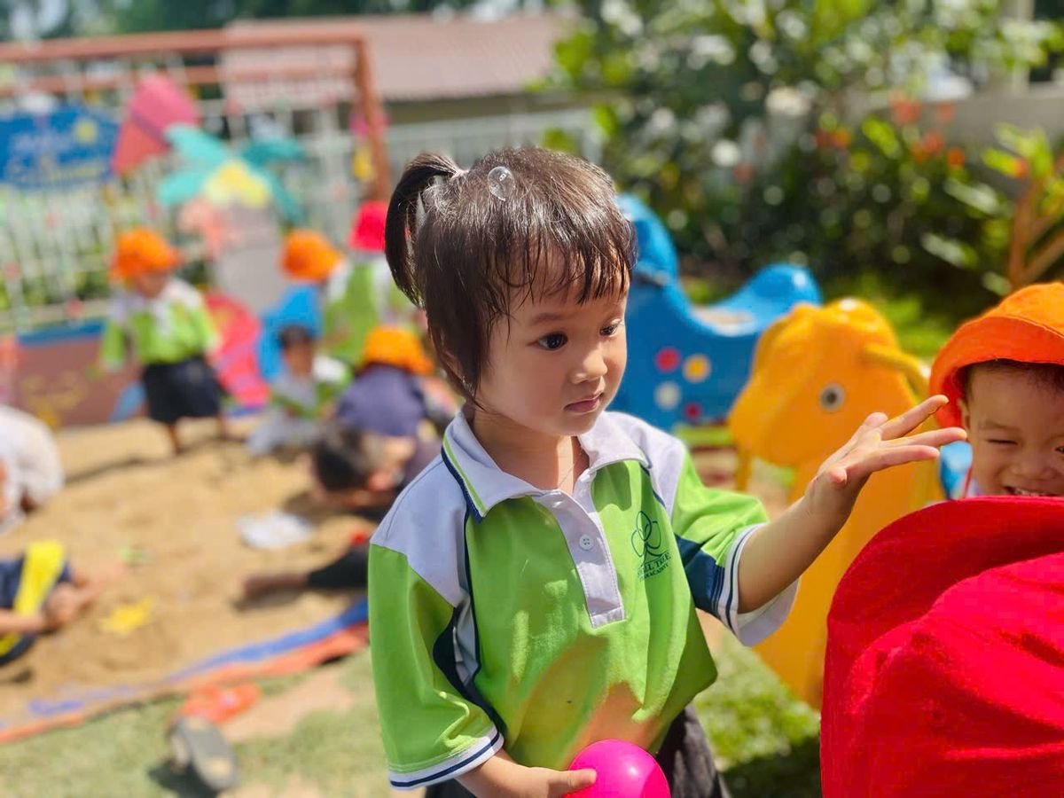 Ảnh hoạt động