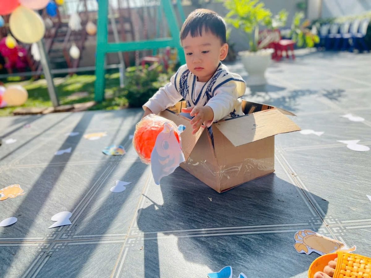 Ảnh hoạt động