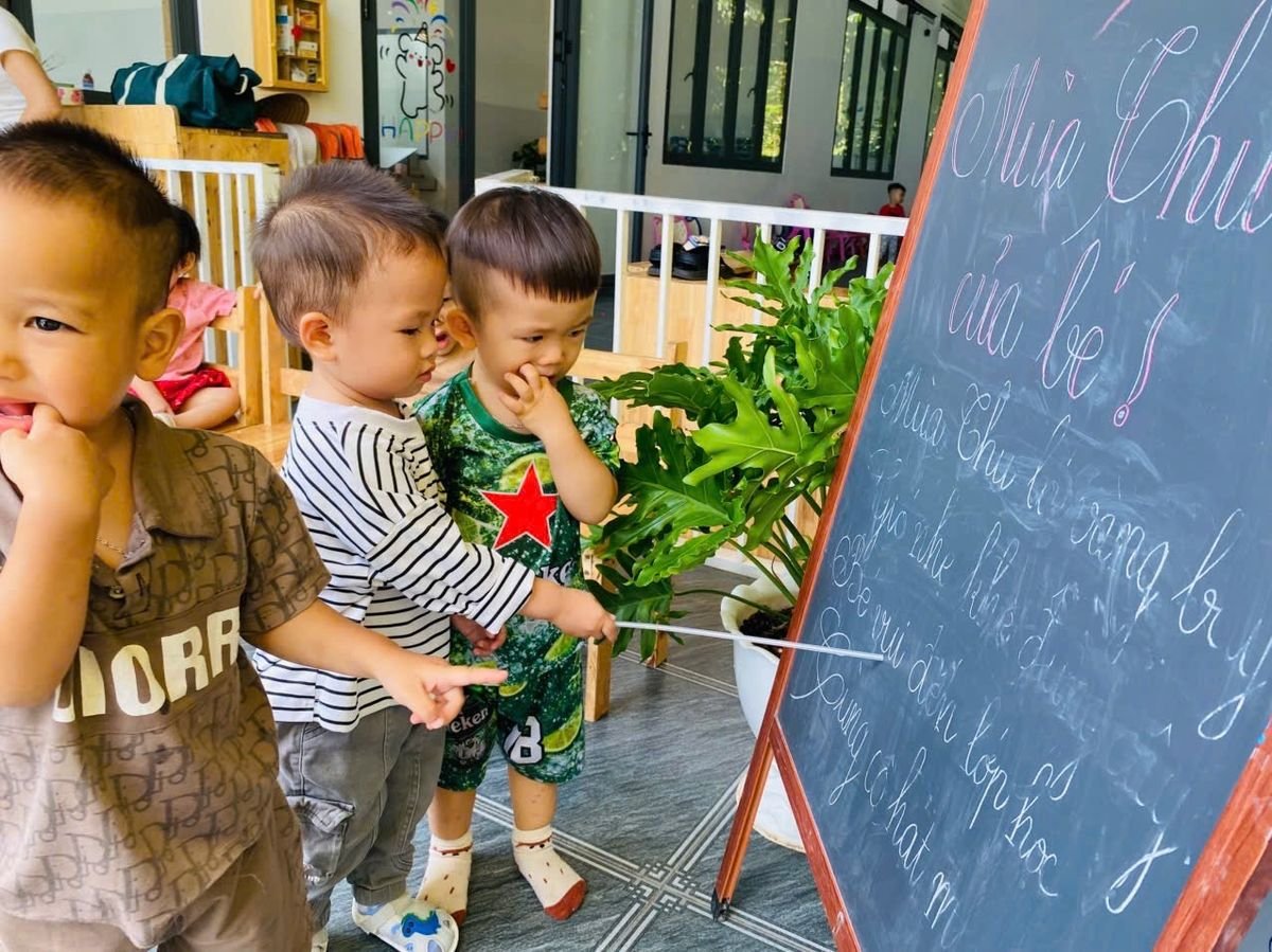 Ảnh hoạt động