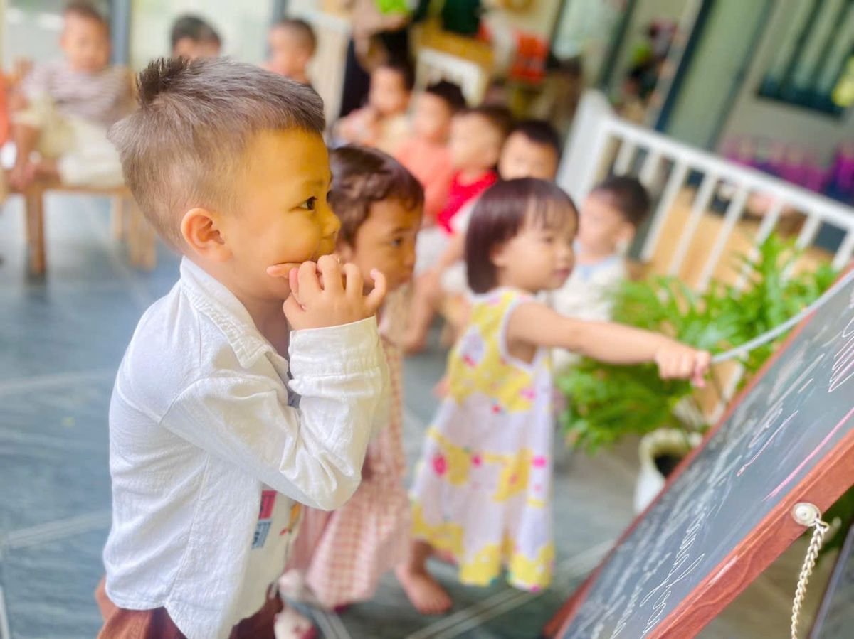 Ảnh hoạt động