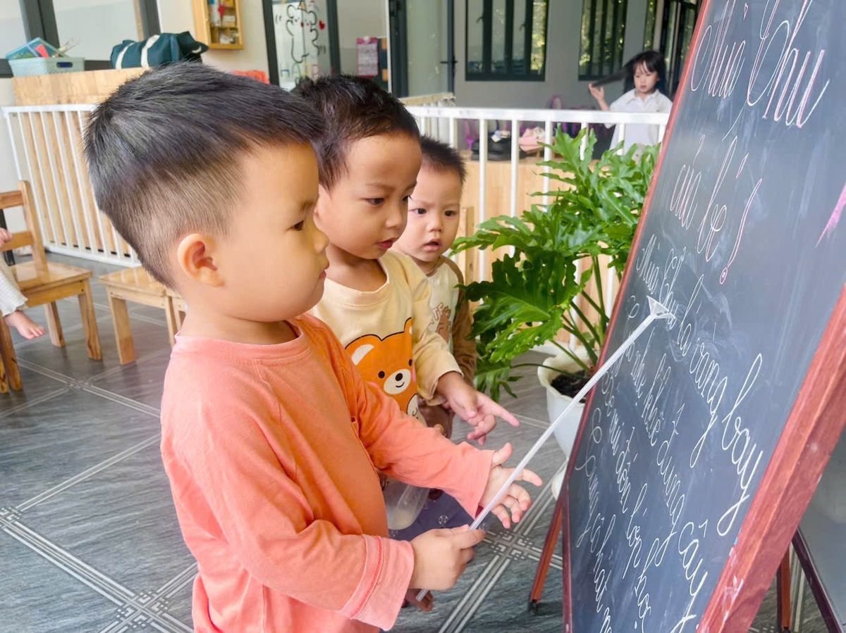 Ảnh hoạt động