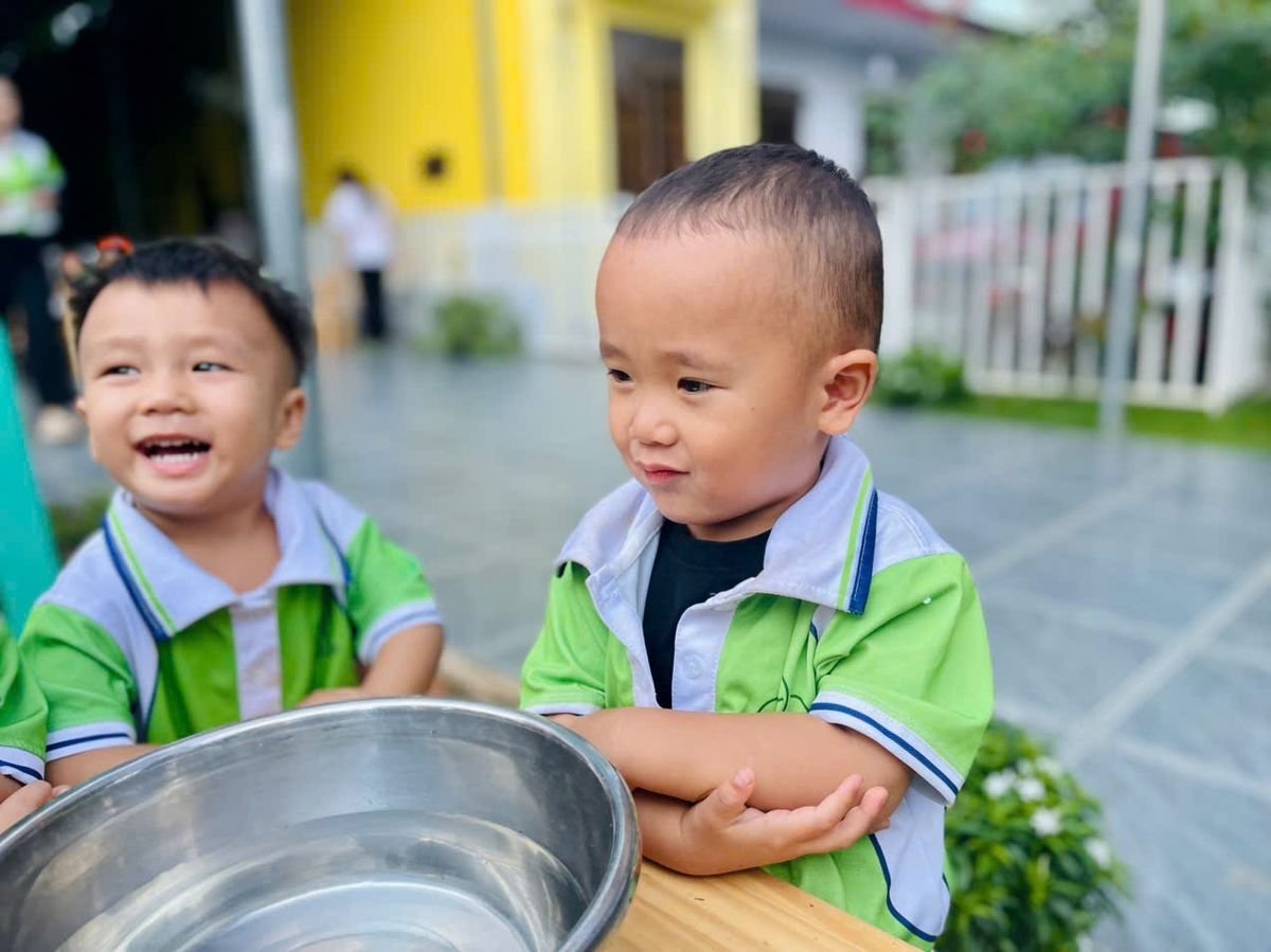 Ảnh hoạt động
