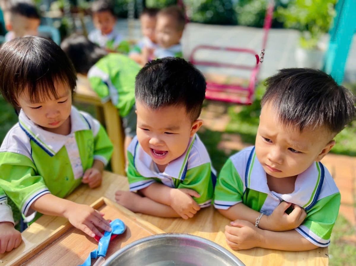 Ảnh hoạt động