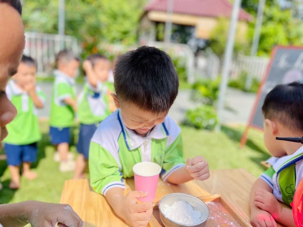Ảnh hoạt động