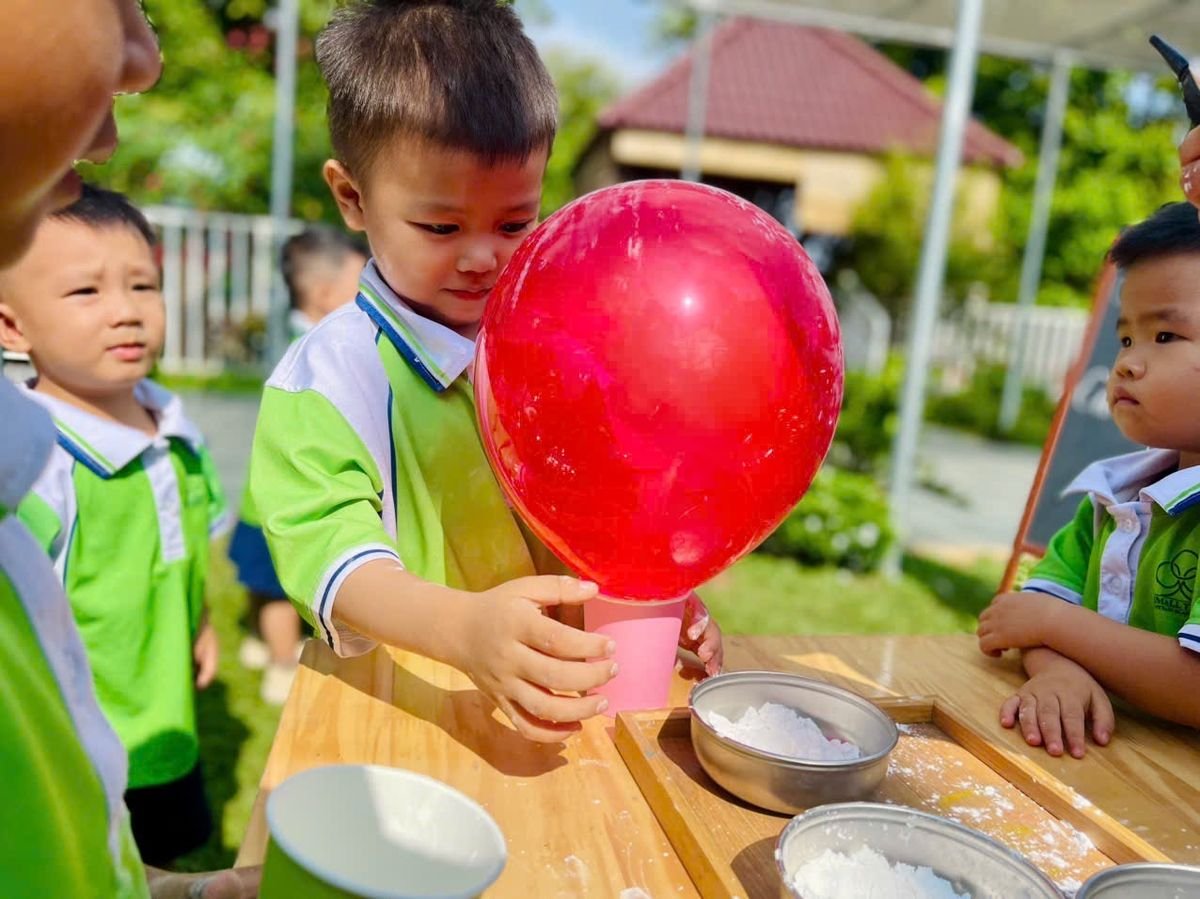 Ảnh hoạt động