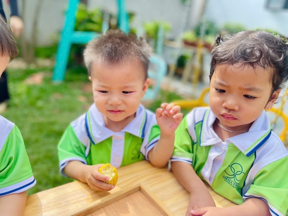 Ảnh hoạt động