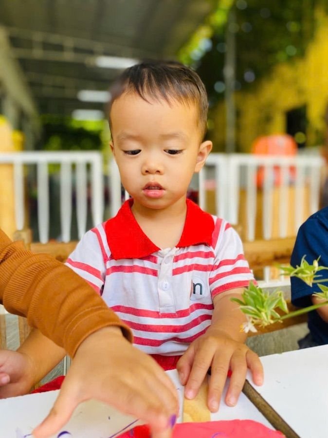 Ảnh hoạt động
