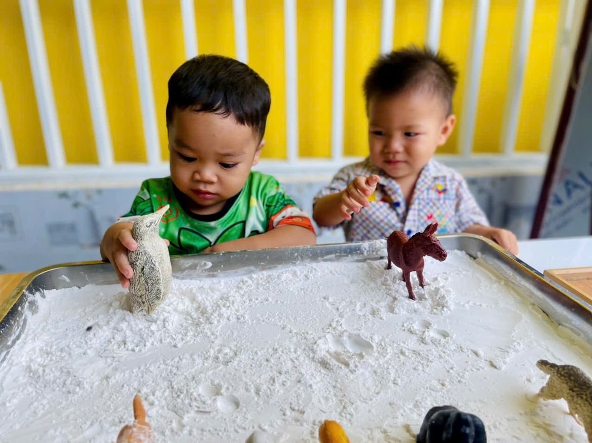 Ảnh hoạt động