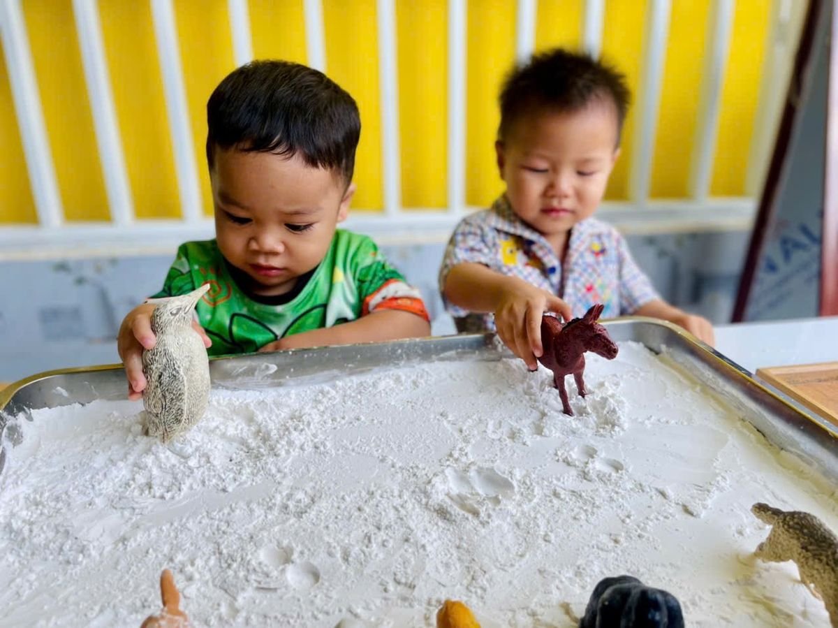 Ảnh hoạt động