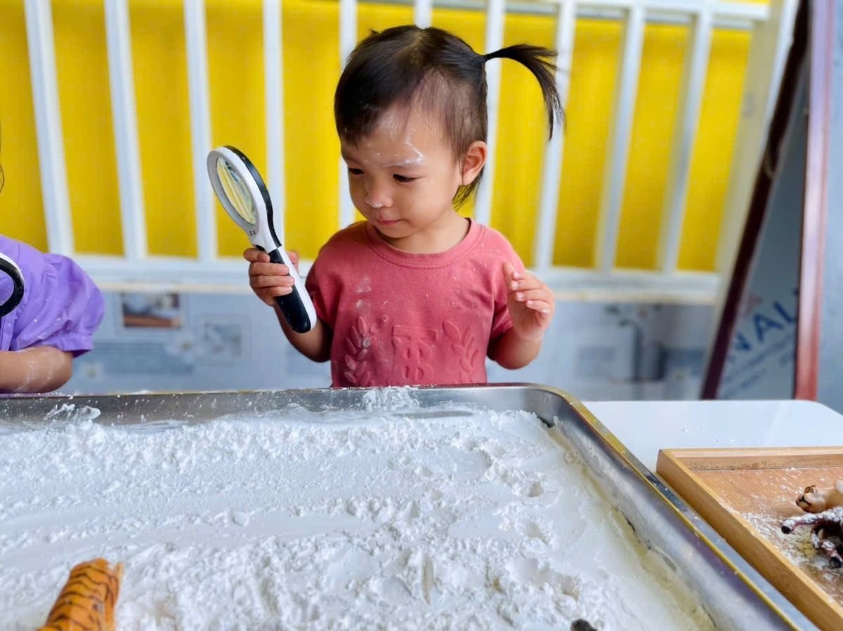 Ảnh hoạt động