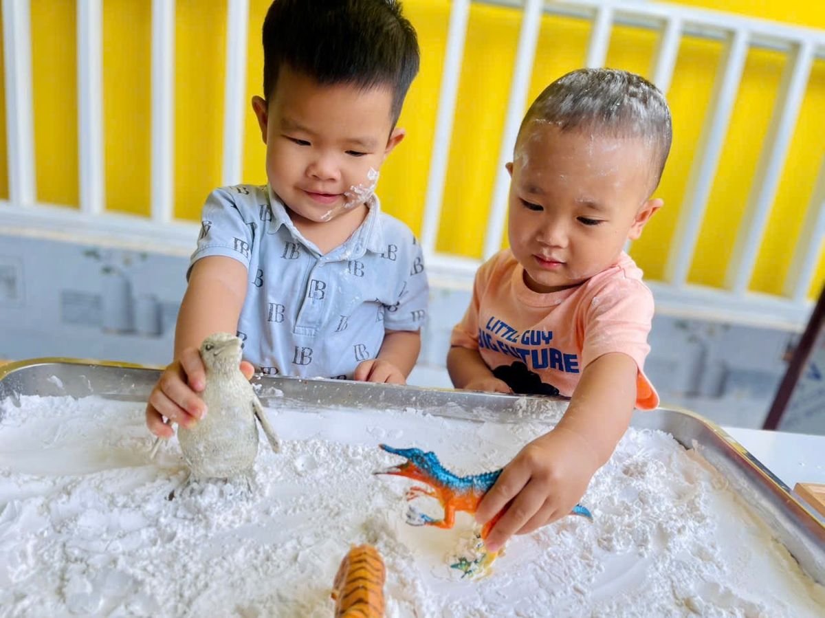 Ảnh hoạt động