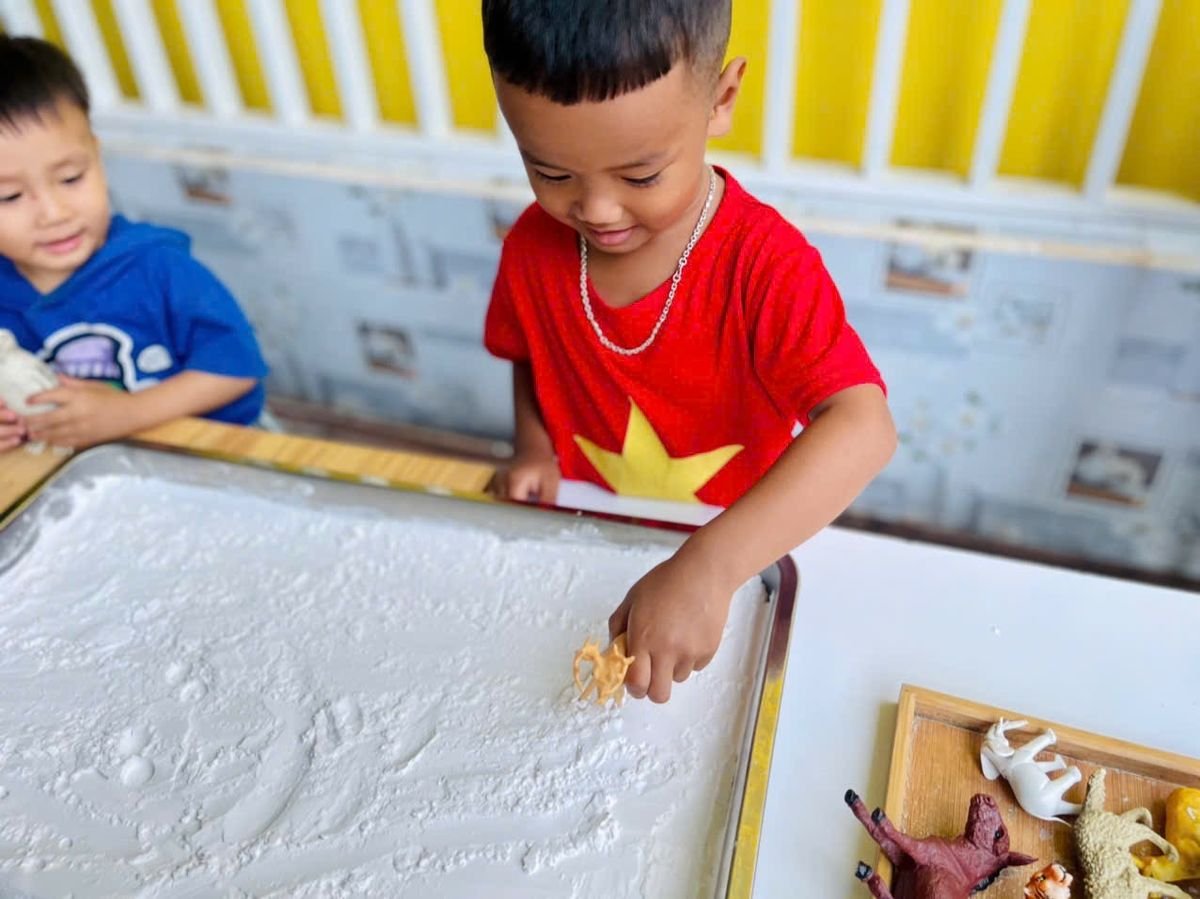 Ảnh hoạt động