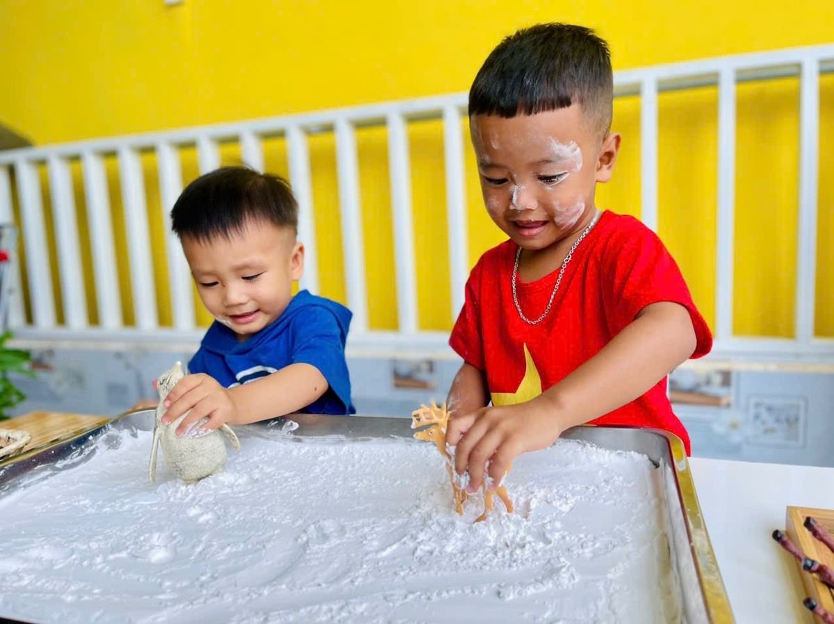 Ảnh hoạt động