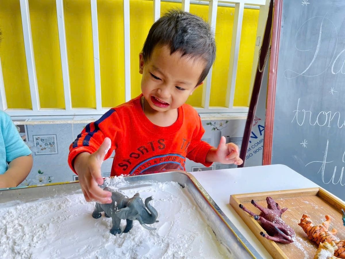 Ảnh hoạt động