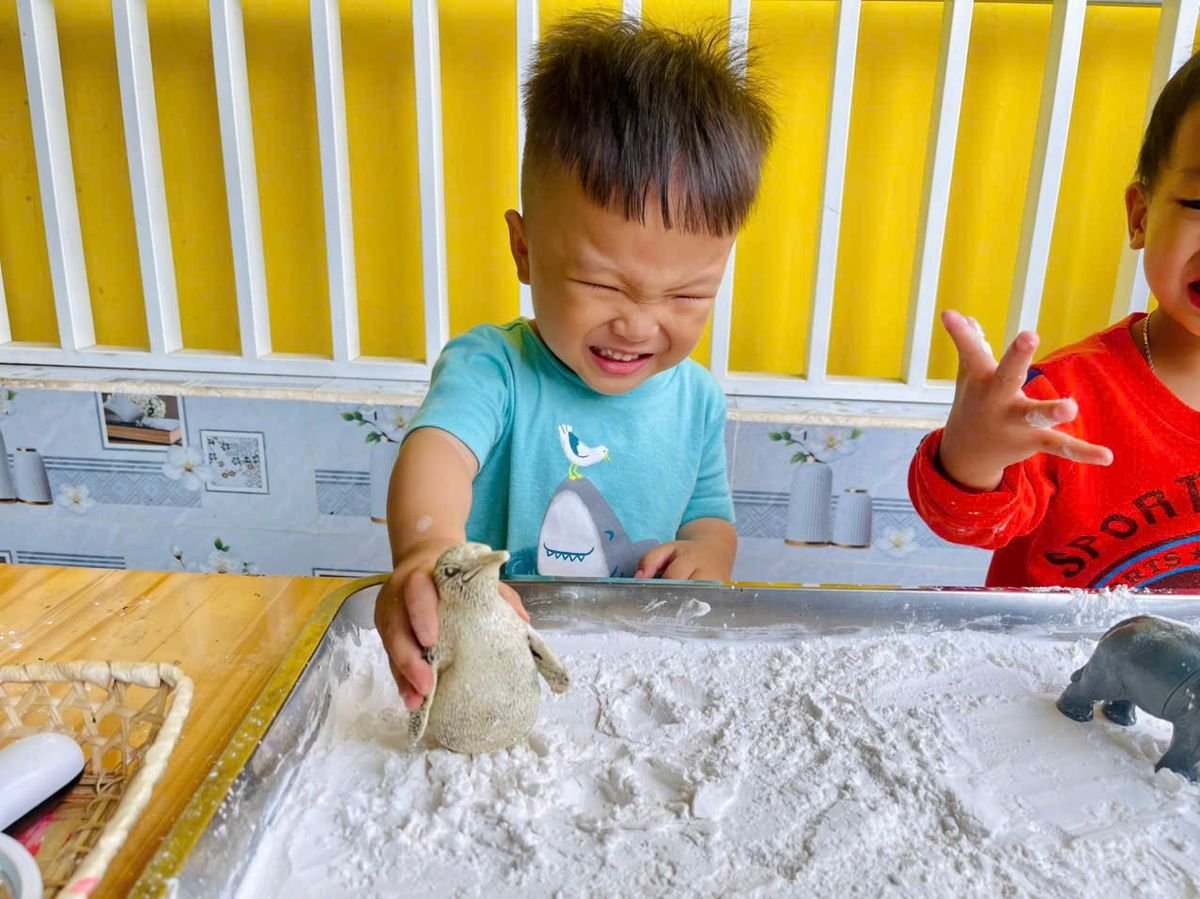 Ảnh hoạt động