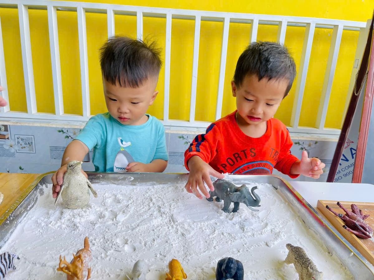 Ảnh hoạt động