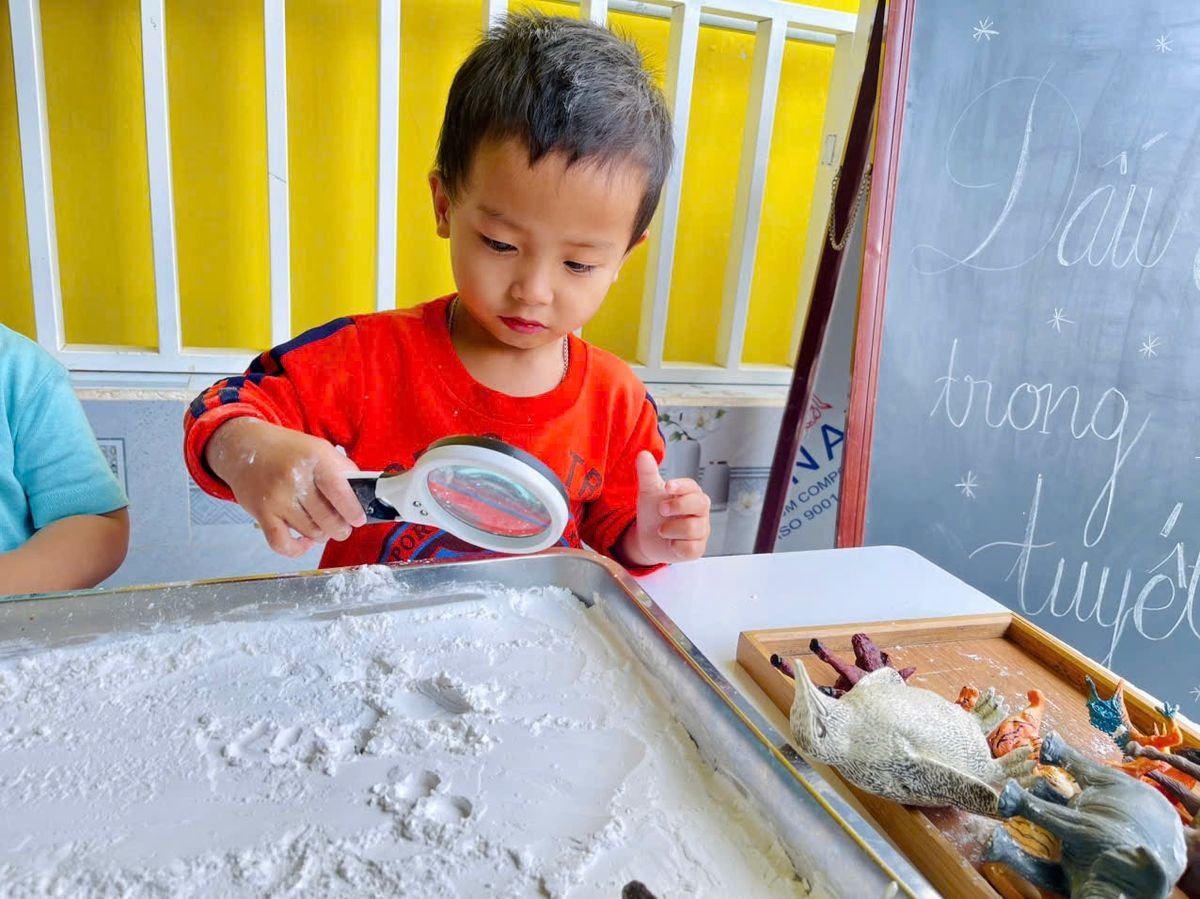 Ảnh hoạt động