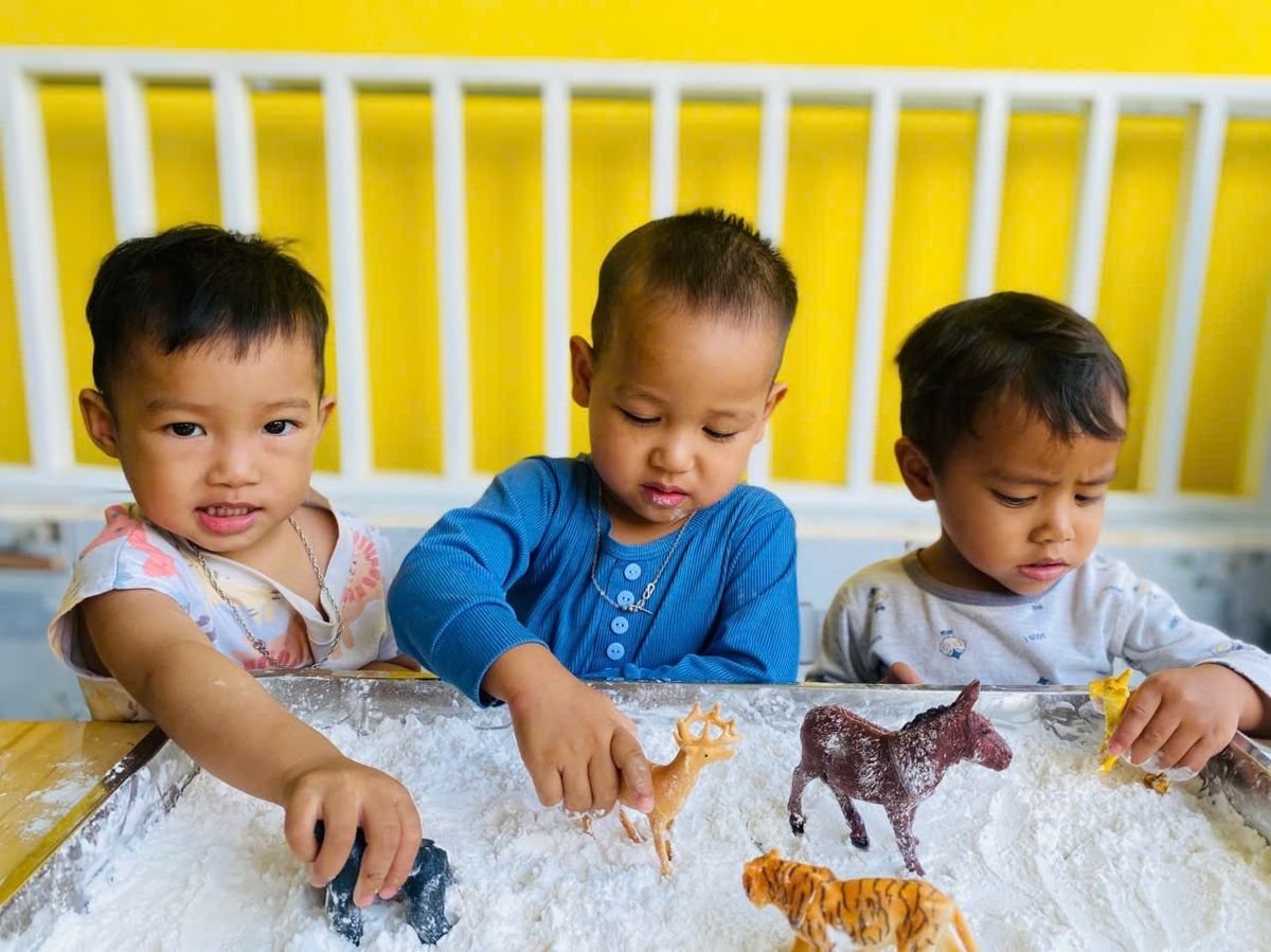 Ảnh hoạt động