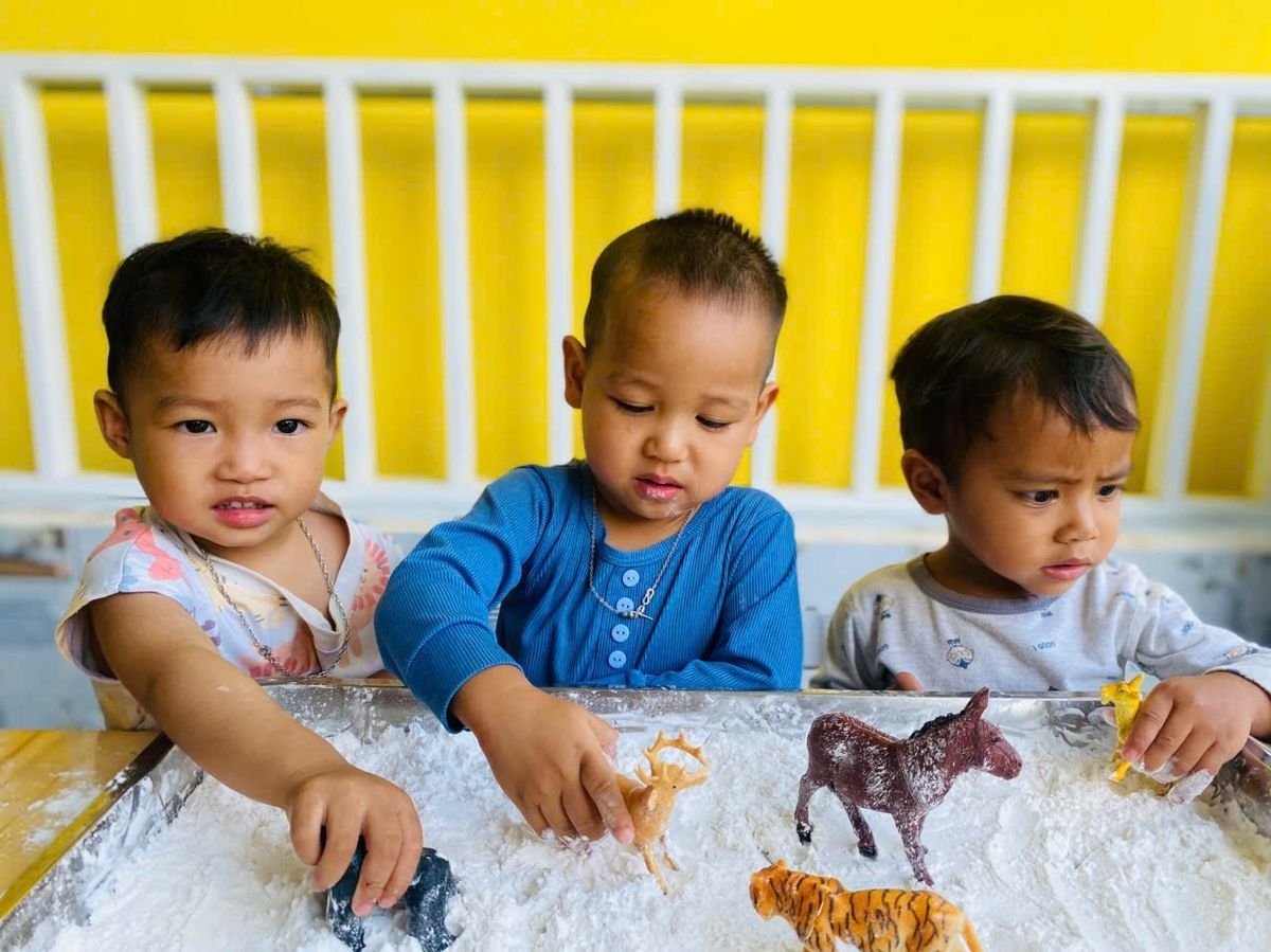 Ảnh hoạt động