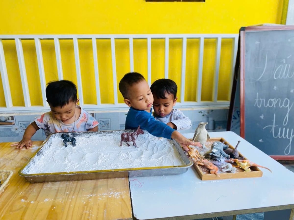 Ảnh hoạt động