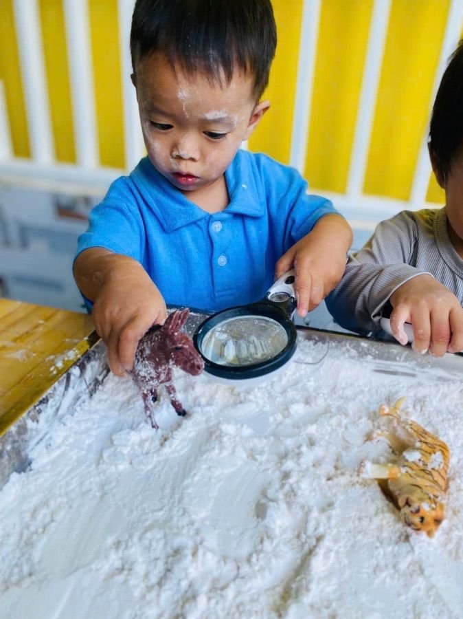 Ảnh hoạt động