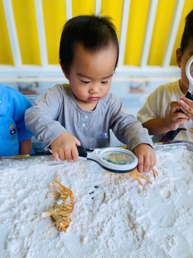 Ảnh hoạt động